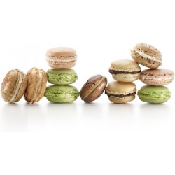 Mata silikonowa do ciasteczek makaroników XL