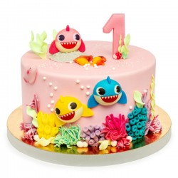 Plastelina Cukrowa JADALNA Masa Cukrowa SWEETOLINA 20 kolorów 300g