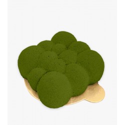 Zamsz w Sprayu Ciemnozielony Food Colorus Velvet 100ml