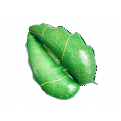 Balon foliowy Liść Monstera zielony 36cali 91cm